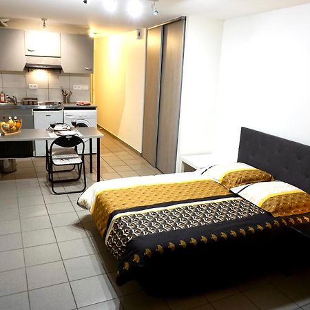Charmant studio centre ville Le Puy-en-Velay Extérieur photo